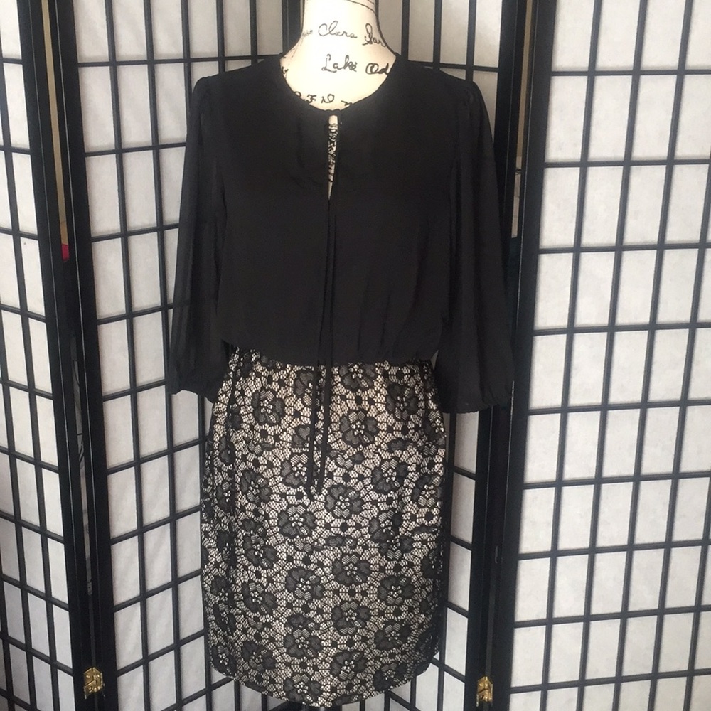 Enfocus gorgeous black dress